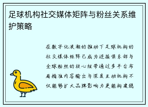 足球机构社交媒体矩阵与粉丝关系维护策略