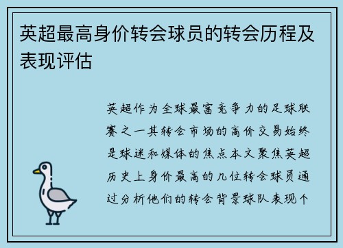 英超最高身价转会球员的转会历程及表现评估